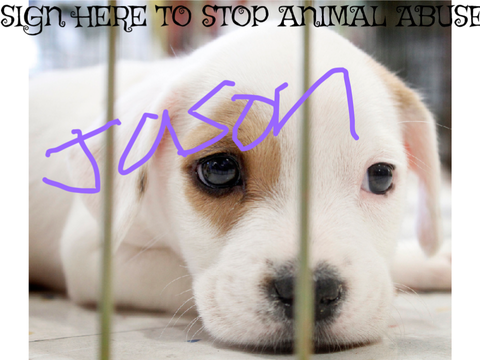 SIGN HERE TO STOP ANIMAL ABUSE 