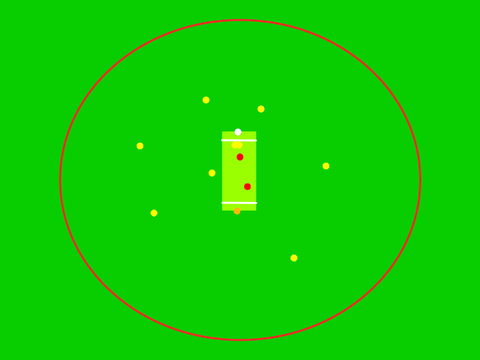 Cricket
