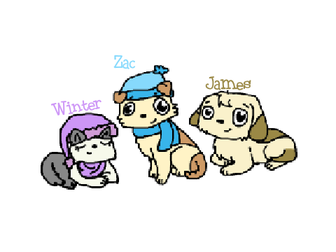 The Gang.