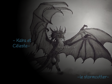  Les cavaliers de DragonsᆞKaïra et Céleste
