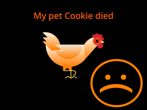 My pet chicken Cookie died :(