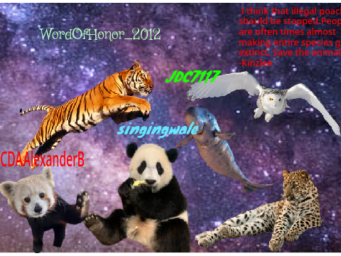Remix and sign if your against  illegal poaching (especially pandas)  remix 2 remix remix