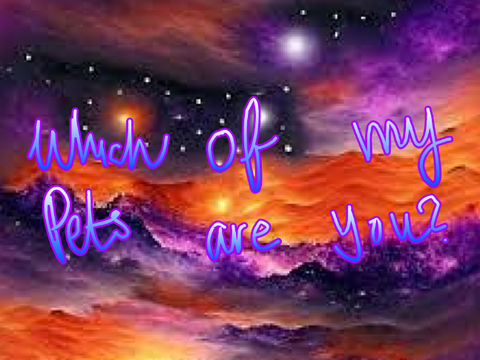 Which Of My Pets Are You?