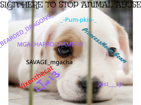 SIGN HERE TO STOP ANIMAL ABUSE remix remix remix