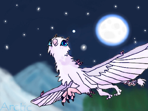 ☾ Moon Maiden ☽