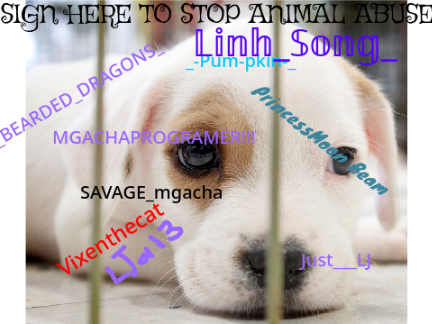 SIGN HERE TO STOP ANIMAL ABUSE remix remix remix remix