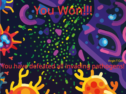 Immune System