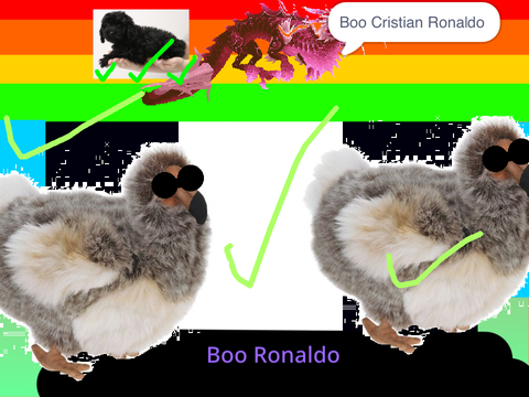 Ronaldo SUCK remix