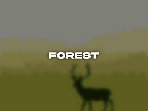 ✦ Forest