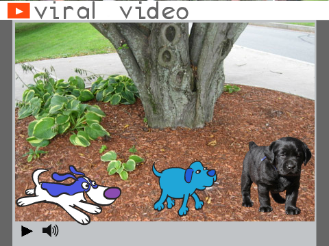Viral Video Starter Project remix