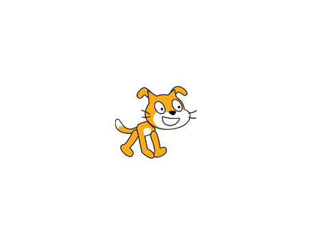 scratch dog