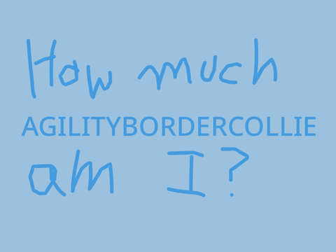 How much agilitybordercollie are you? remix