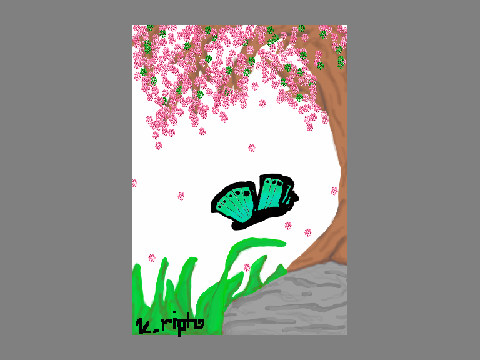 Butterfly