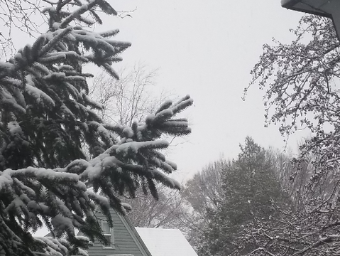 snowe, yes