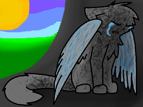 Falling Apart Cat CCE