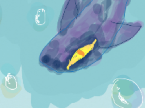 Shark B)