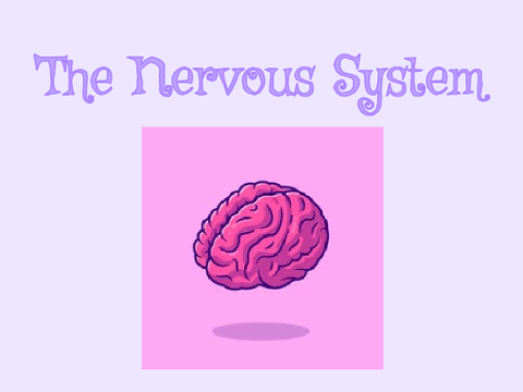 Topic: Nervous System || #Animations #Art || vLOG