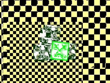 Scratch Project