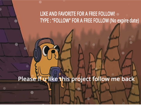 FREE FOLLOW
