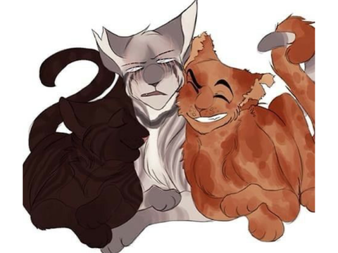 My favorite trio