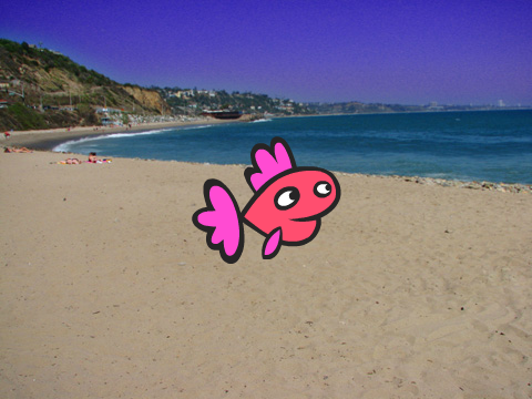 Party Fish