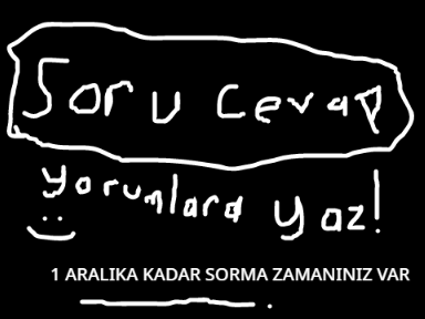  SORU CEVAP