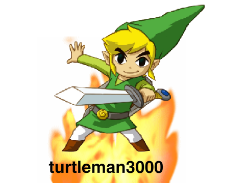 turtleman3000