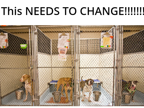 SAVE THE DOGS!!!!!!!!!!!!!!!!!!!!!!!!!!!!!!!!!!!!!!!!!!!!!!!!!!!!!!!!!!!!!