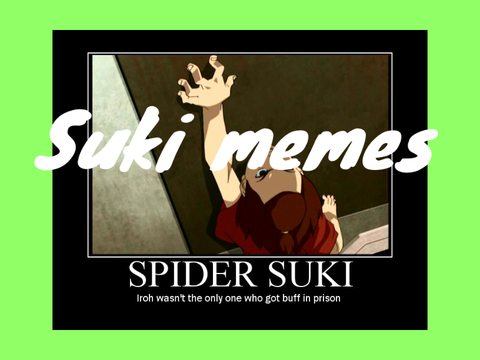Suki Memes (Avatar Memes)