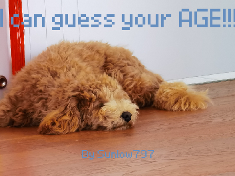 Pudding can guess your age!!