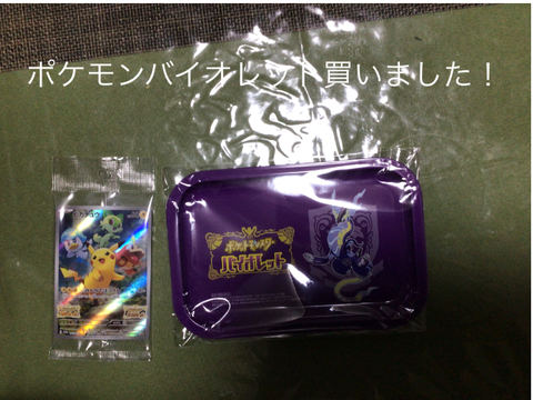 ポケモンバイオレットフロク