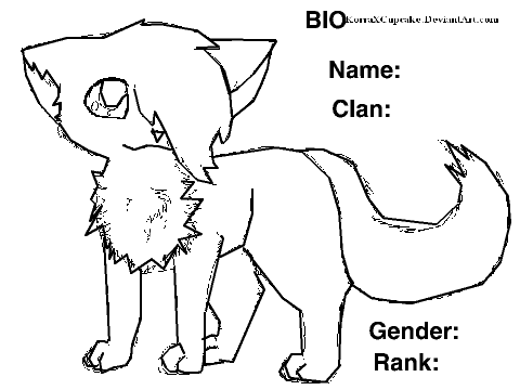 The Three: Bio Sheet