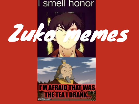 Zuko Memes (Avatar Memes)