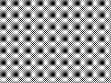 What do you see in this image?