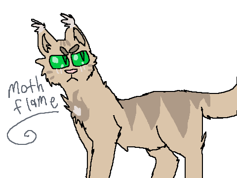 Mothflame the cat