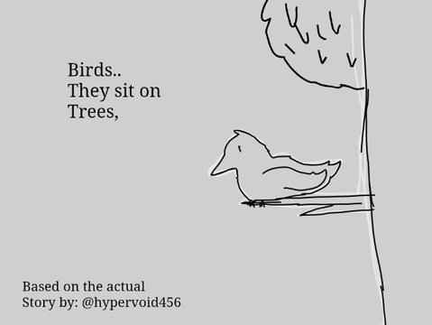The Birb empire || PT 1 ||