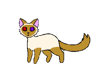 Cat generator