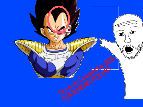 Vegeta's Forehead be like....