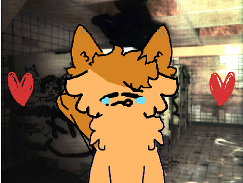 I'd Rather Sleep meme lazy remix