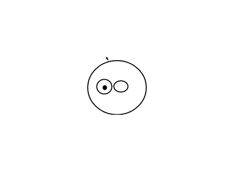 funny animation