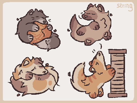 cat worms