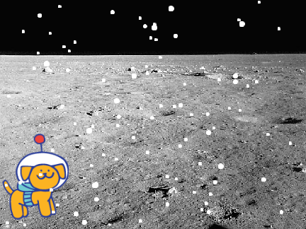 space walking dog