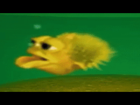 top 5 fish
