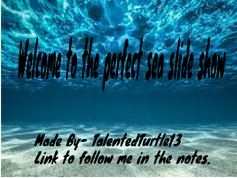 The Perfect Sea Slide Show!!!