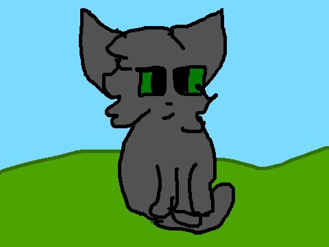 Warrior Cat QUIZ!