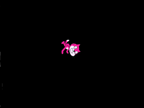    SPINNING CAT IN SPACE