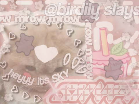 ✩°｡B@NN3R FOR SKOI ✩°｡