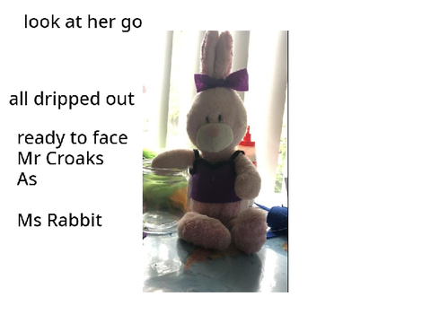 Ms Rabbit