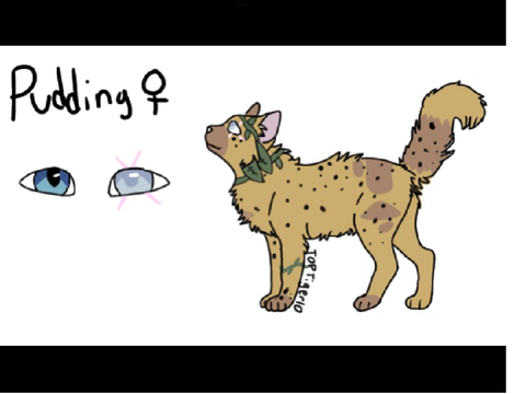drawing contest pudding  remix