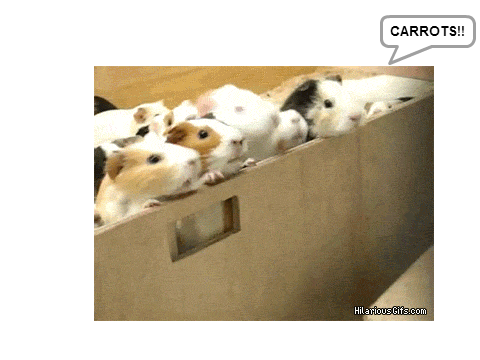 AHH SO CUTE PLZ WATCH